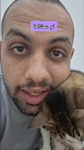 كل ما يخص عملية تعقيم القطط