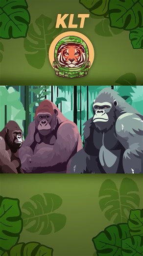 Gorilla Facts! | KLT Wild