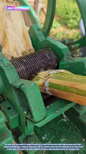 Sweet Extraction: How Manual Cane Presses Unlock Nature's Sugar