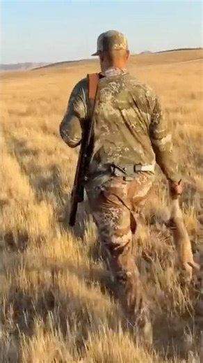 Quick rabbit hunt #hunting #california #publiclandhunt #publiclandhunter #publiclandowner