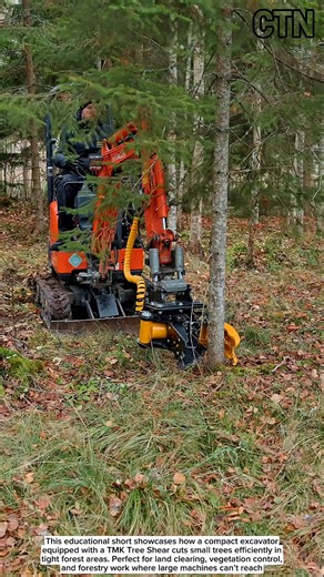 Mini Excavator + TMK Tree Shear! Compact Forestry Power – Educational Short