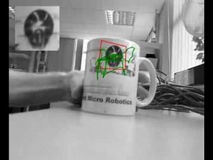 Lucas Kanade Tracker