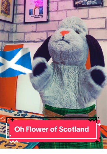 Celebrating Burns Night with 'Oh Flower of Scotland'