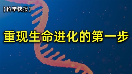 回到生命最初的时刻！科学家首次重现RNA复制过程，【科学快报218】