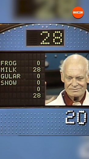 Oh, Bob! 🤦‍🐊 | BUZZR