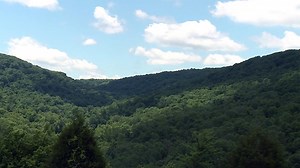 300 acres of Ozark National Forest to be preserved in Northwest Arkansas