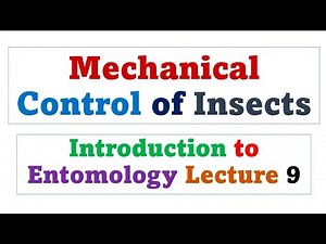 Mechanical control of insect pests | Entomology