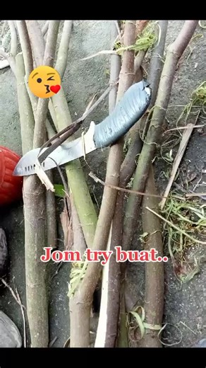 Crafting Unique Makeshift Bongs for Fun