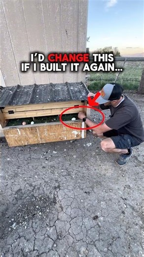I’d change THIS if I rebuilt my nesting box…