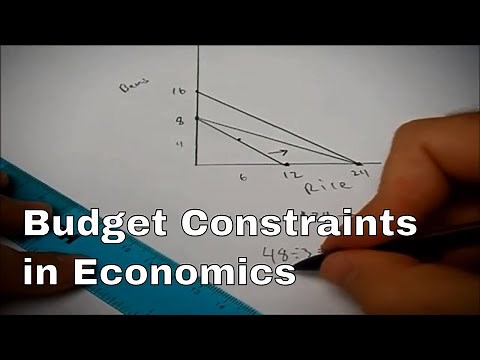 Solving a budget constraint problem in economics