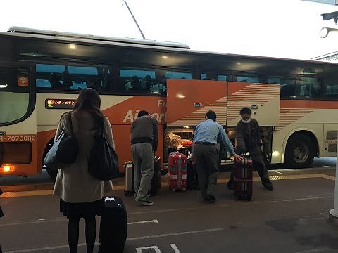 Guide: Narita Airport- Friendly Limousine Bus. Transfer to Haneda Airport