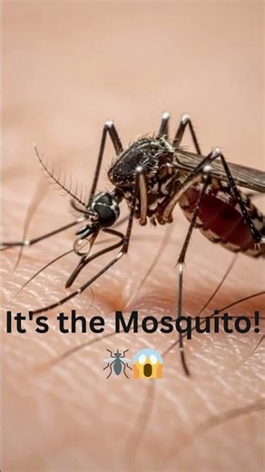 The World's Deadliest Bite Close-Up "Project Infinity #Microscope #Mosquito #Shorts #Nature