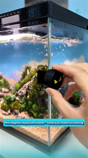 Mini Magnetic Aquarium Cleaner – Small Size, Powerful Cleaning
