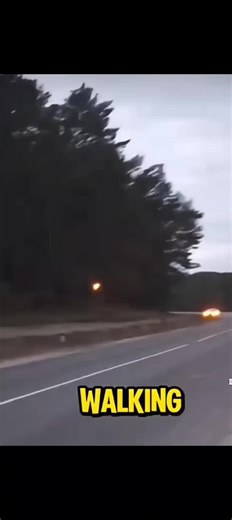 I can see this starting mad forest fires. crazy