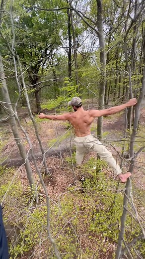 Leo Primal on Instagram: "Winter and spring are the best moment to bend the trees in Europe. Since the trees do not have leaves, it is easier to steer and offers a greater range of movement."