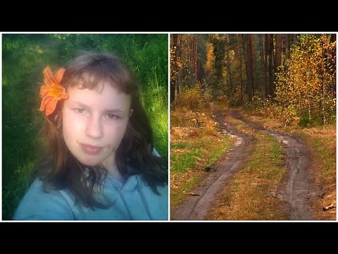 "Unsolved & Bizarre: Mysterious Disappearances of People Who Were Never Found"