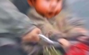 #博君一笑 #博君一笑 王啵啵大型吃醋现场