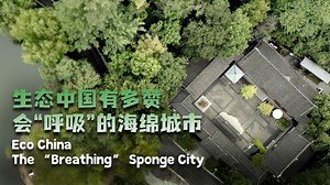 Eco China: The 'breathing' sponge city