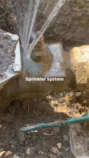 #backflow#Sprinkler #system #Back Flow | Carlos Zamora