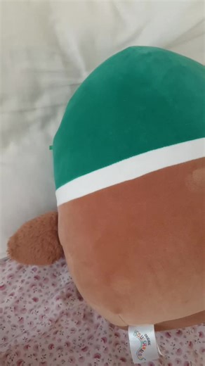 A Fly on My Face: Late-Night Music Vibes