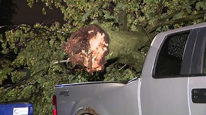 Tree on truck