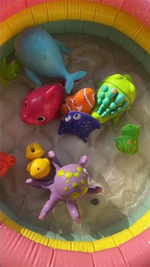 AMAZING SEA ANIMAL TOYS FOR PRESCHOOLERS| LEARN ANIMAL NAMES AND FACTS WITH COOL TOYS
