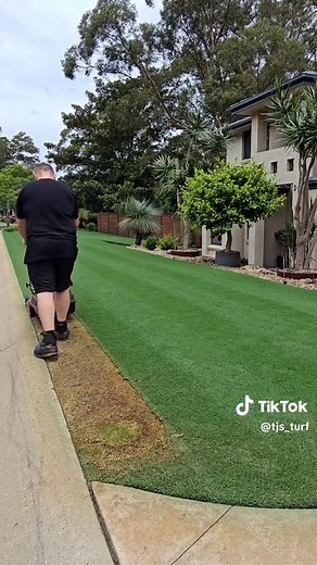 Lawn Renovation Tips: Cutting Grass Low with a Mower