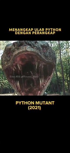 Python Mutant (2021) || Exciting movie trailer ||#short #python #film #trending #youtube