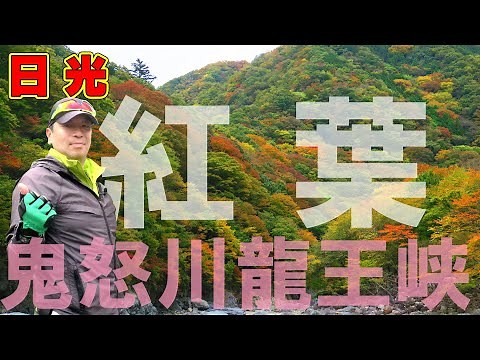 日光 【紅葉】鬼怒川 龍王峡・紅葉ルート絶景ハイキング！ 日光の紅葉は奥日光だけじゃない、もうすぐピークの必見穴場紅葉スポット！