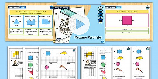 Year 3 Diving into Mastery: Step 11 Measure Perimeter Teaching Pack