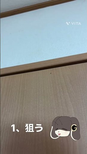 コバエを簡単に駆除する方法