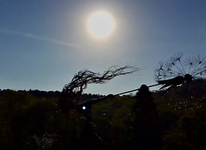 Happy Monday Night Fairy Fix everyone. Robin took this video back in 2016, on the very rare occasion that we had 2 Dancing with Dandelions sculptures at the same time. I think they look very magic together. Hope you enjoy. Have a great week everyone. -Adam | Wire Sculpture by Fantasywire