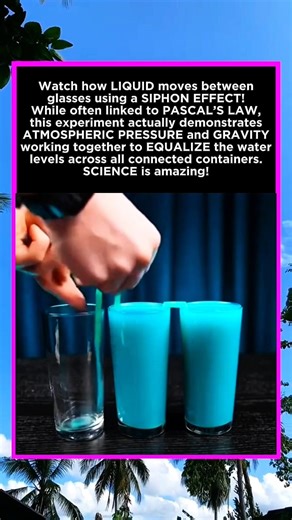 The Secret of SIPHON: Physics Experiment with Pascal's Law Myth!