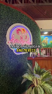 100 reactions · 3 comments | Regálate una Navidad mágica en Amapola Resort  Con tarifas desde ₡30,000 por noche, disfruta del descanso que mereces en un oasis de naturaleza y confort. ✨ Tarifas válidas de domingo a jueves en ocupación doble, perfectas para desconectar del estrés y reconectar con lo que realmente importa. Reserva al 8304-2494 o 4000-0601 y vive una Navidad inolvidable en el Pacífico.  | Amapola Resort | Facebook