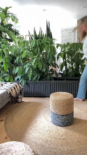 2.5M views · 28K reactions | DIY Large Indoor Planter! PLANTERINA! #indoorplants #diy #plantcare #planterina #homedecor #creative #plants #fbreels #reels | Planterina | Facebook