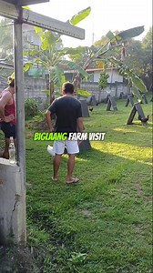655K views · 8.3K reactions | Farm Visit! Ganda Ng Area Sakto lng for backyard #viralreels #trendingreels #fbreelsvideo #reelschallenge #reelsviralシ #followerseveryone #followerseveryonehighlights #tips #passion #ForEntertainmentPurposesOnly #Disclaimer: No animals were harmed or abuse filming this video for breeding en content purposes only. | Chrisler Florentino | Facebook