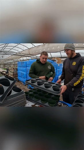 Greenhouse Gremlins & Folger's Follies #shorts