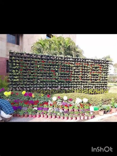 Foundation Day at NSSTA..