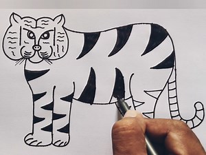 741K views · 2.7K reactions | Tiger Drawing Easy  #drawing #artwork #artist #draw #painting | Drawing Teacher | Facebook