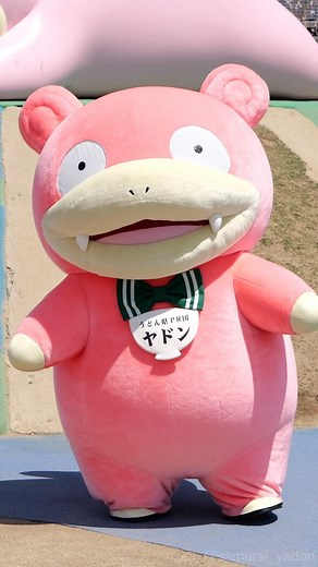 さむらいやどん on Instagram: ". 〖ヤドン公園開園1周年記念イベント〗 グリーティング1回目【ヤドン公園】ハイライト 大盛況だったヤドン公園のグリーティング ヤドン知事、入場から退場までの可愛い姿です♡ ✼••┈┈┈┈┈┈┈┈┈┈┈┈┈┈┈┈┈┈••✼ 道の駅 滝宮（香川県綾川町） 📸2024/4/14 ✼••┈┈┈┈┈┈┈┈┈┈┈┈┈┈┈┈┈┈••✼ #ヤドン公園 #slowpokepark #ポケモン #pokemon #pokémon #精靈寶可夢 #うどん県pr団ヤドン #ヤドン知事 #ヤドン #slowpoke #呆呆獸 #야돈 #Flegmon #Ramoloss #kawaii ◾︎無断転載禁止◾︎"