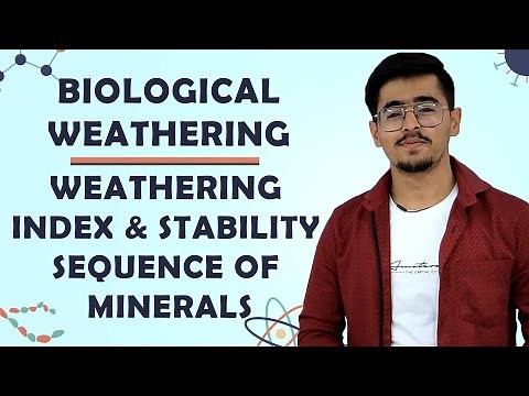 Biological Weathering Of Rocks And Minerals, Stability Sequence Of Minerals & Weathering Index
