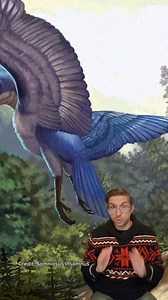 🚨New Dino Dropped🚨 🦕If you want to stay up to date on new dinosaurs and the newest research on them, then you gotta sign up for my newsletter! Every month I bring you cutting edge research on dinosaurs absolutely free. Go to the link in my bio to sign up🦖 #dinosaur #dinosaurs #dinos #fossil #fossils #naturalhistory #paleontology #paleontologists #paleontologist #scicomm #science #JurassicWorld #JurassicPark #newdino #newdinosaur | Daily Dino Guy