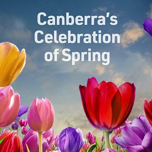 Floriade has been reimagined to bloom differently this year. 🌷 Tulip trail set to bloom across Canberra 😃 Virtual and in-person program out now 📅 12 September - 11 October 2020 | Floriade