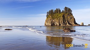 La Push beach