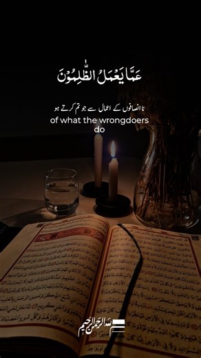 Surah Ibrahim | Beautiful Recitation