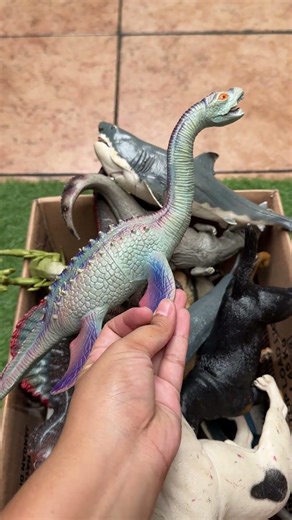 Dinosaur Jurassic World Toy In The Box ASMR Review