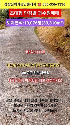 가성비좋은 초대형 단감밭 과수원매매 10,076평(33,310m²) 매5억9000만 #shorts