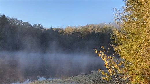 7.4K views · 200 reactions | 閭Chilly morning on Lake Katharine The sun greets Lake Katharine State Nature Preserve accompanied by sounds of migrating waterfowl over the tranquil waters of Lake Katharine. No better time than autumn to view the fall foliage along 量miles of trail at this southeastern preserve. Learn more at naturalareas.ohiodnr.gov.  #OHNaturalAreas #autumnleaves #sunriseoftheday | Ohio Division of Natural Areas and Preserves | Facebook