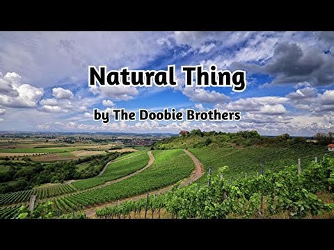 Natural Thing by The Doobie Brothers with lyrics