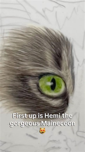 Maine Coon Cat Eye Timelapse 👀 | First Pet Portrait of 2026 | 5-Cat Commission